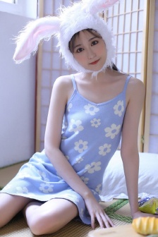 百日蔷薇动漫